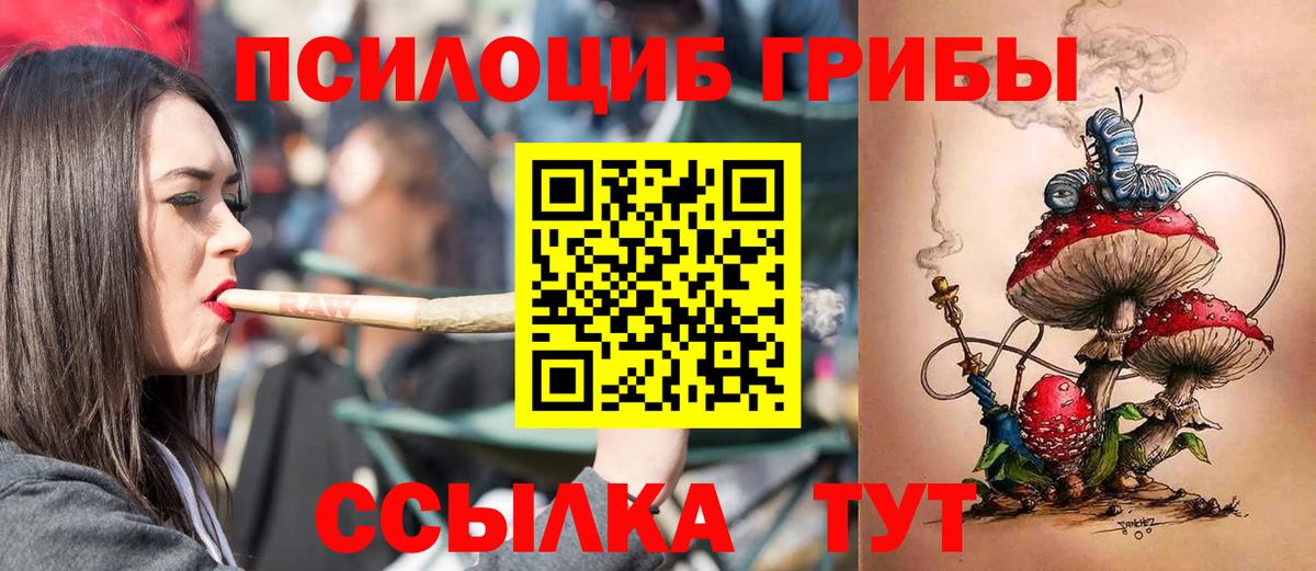 Галлюциногенные грибы Psilocybine cubensis Коммунар